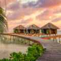 What should you bring home from the Maldives?