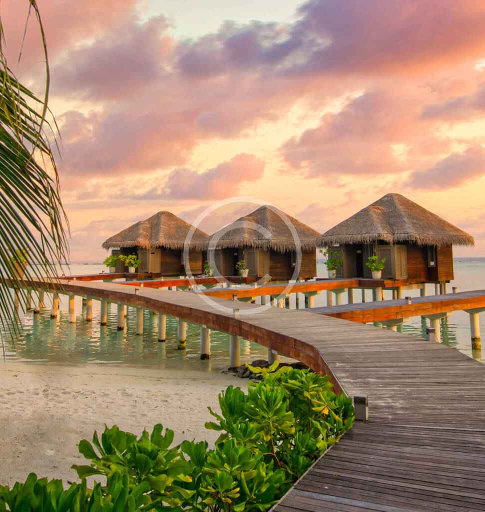 What should you bring home from the Maldives?